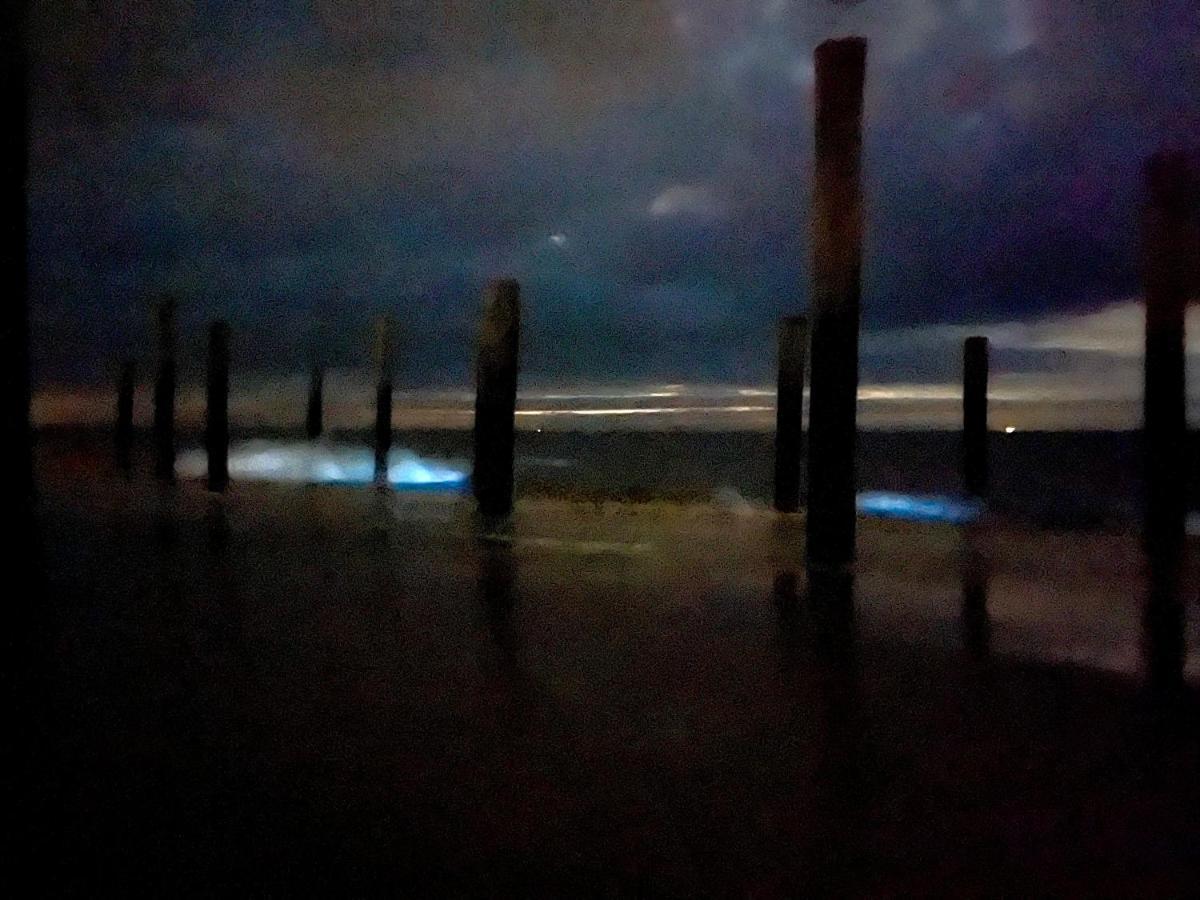 Couette-café Hart Petten